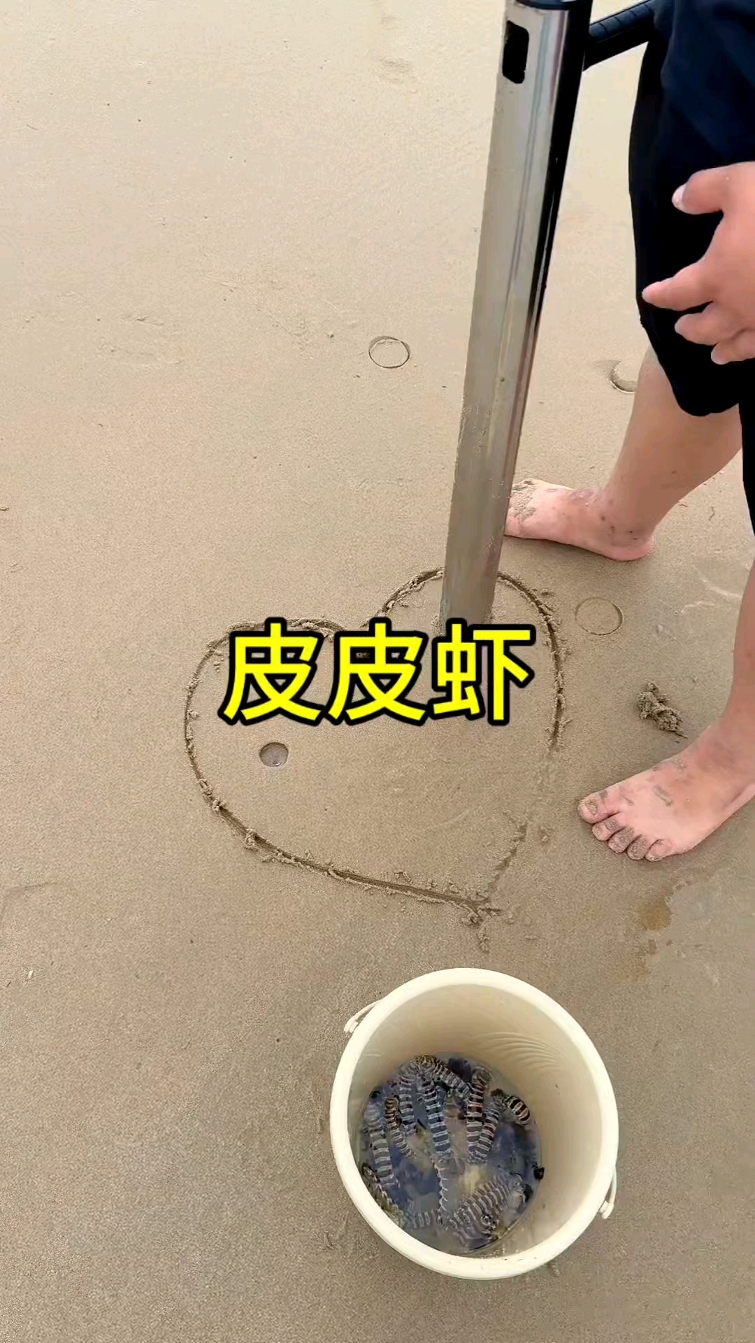 这种皮皮虾我还是第一次见