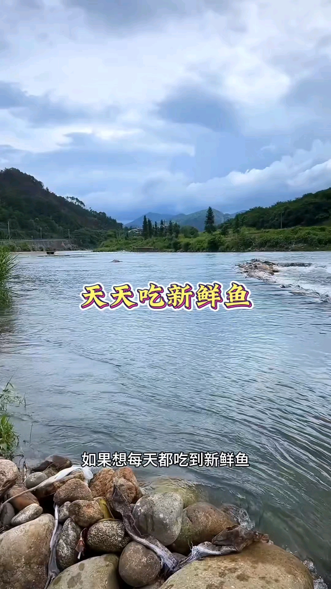 这就能天天吃上新鲜鱼了