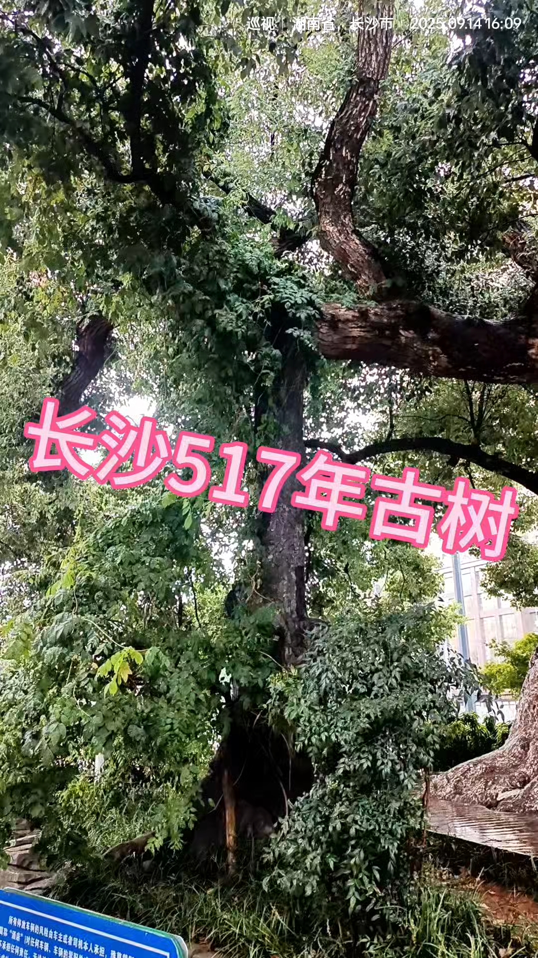 长沙雅尊戴斯酒店