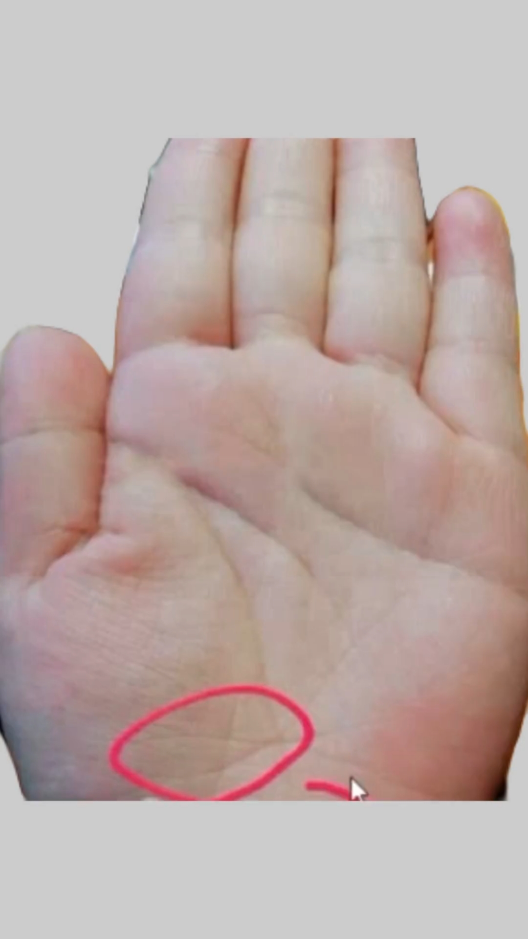 大富大贵的双鱼纹