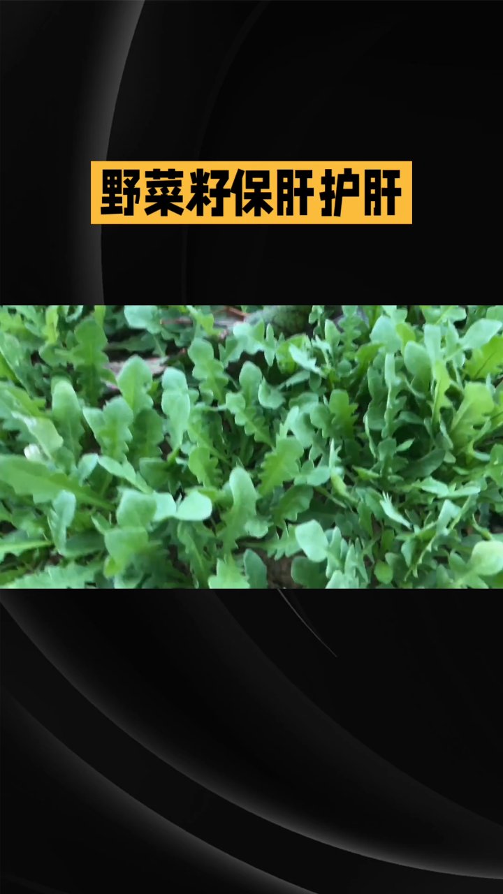 都来认识草药的功效和了解草药性能