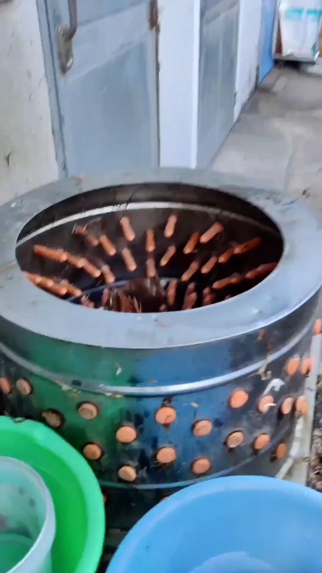 全自动鸡脱毛机，小型鸡鸭打毛机，不锈钢脱毛机，圆筒脱毛机