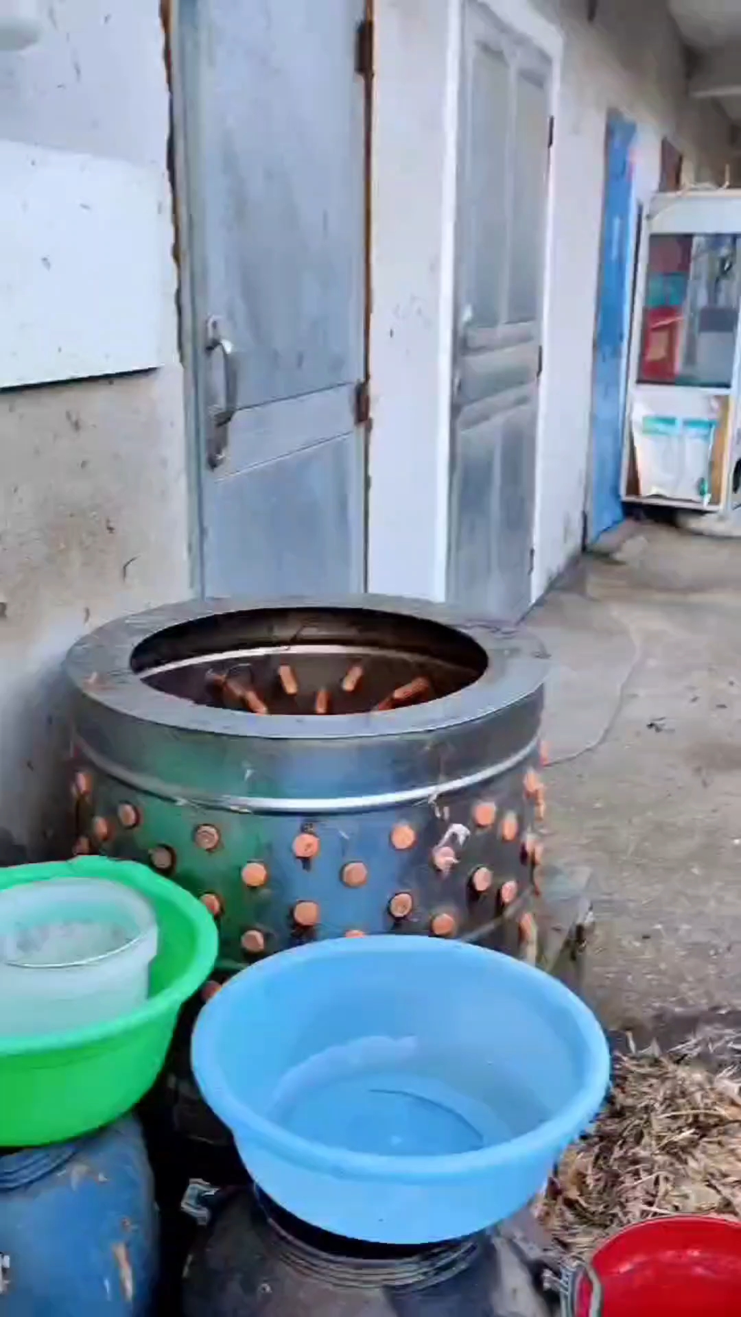 全自动鸡鸭鹅脱毛机,小型家禽脱毛机,不锈钢鸡鸭鹅拔毛机