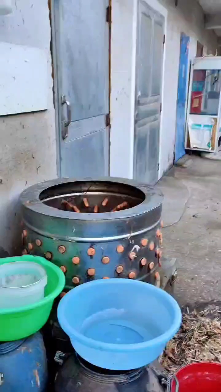 杀鸡脱毛全过程,全自动宰杀烫毛脱毛机器,小型鸡鸭鹅脱毛机