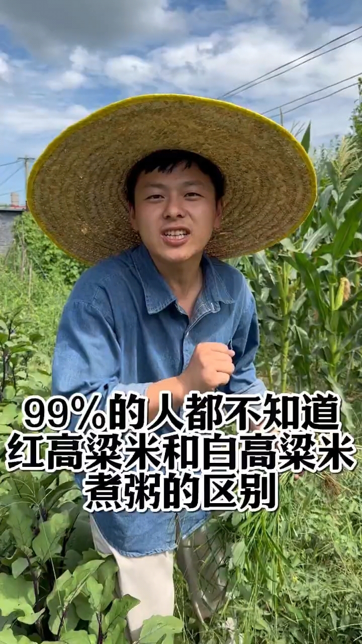 红高粱米和白高粱米的区别