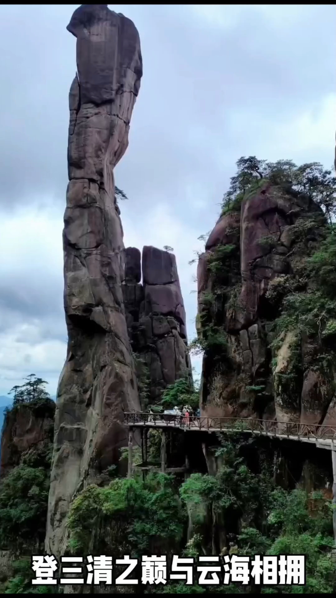 手机壁纸