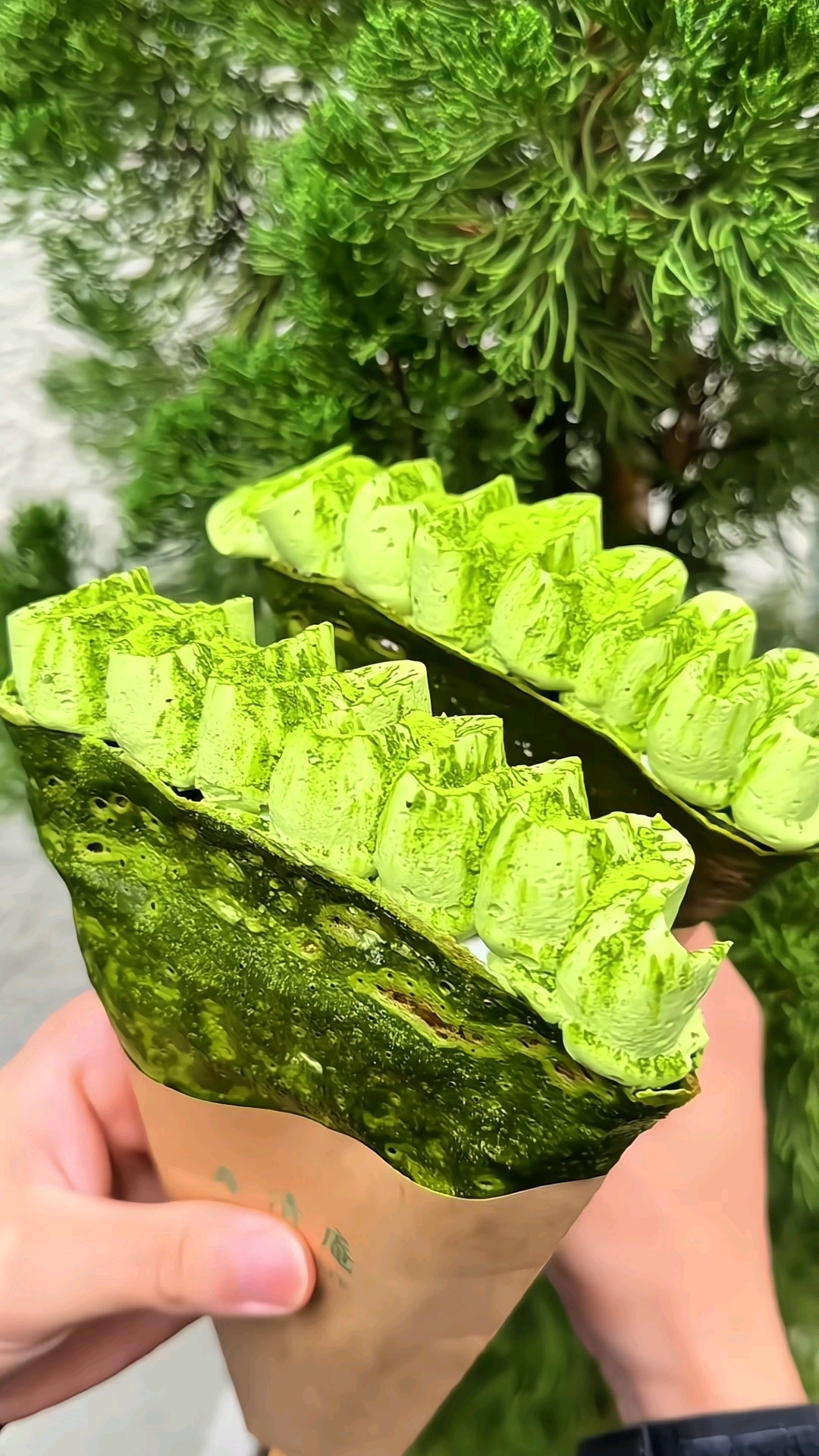 抹茶提拉米苏蛋糕，最适合喜欢吃抹茶味道的我！