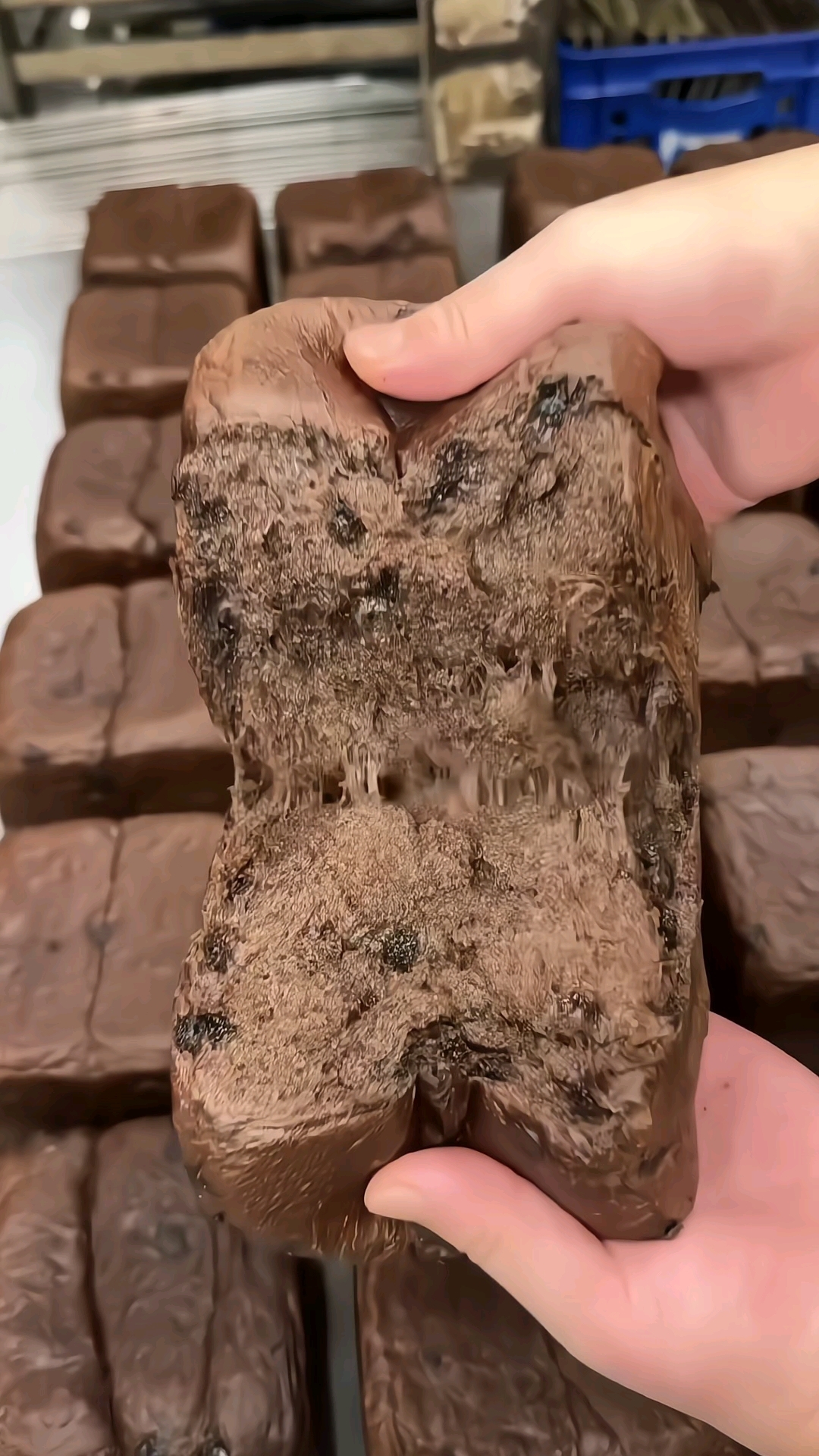 纯手工制作的巧克力吐司面包,味道太棒了!