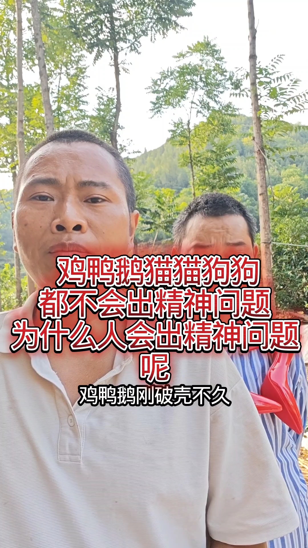 鸡鸭鹅猫猫狗狗都不会出精神问题为什么人会出精神问题呢
