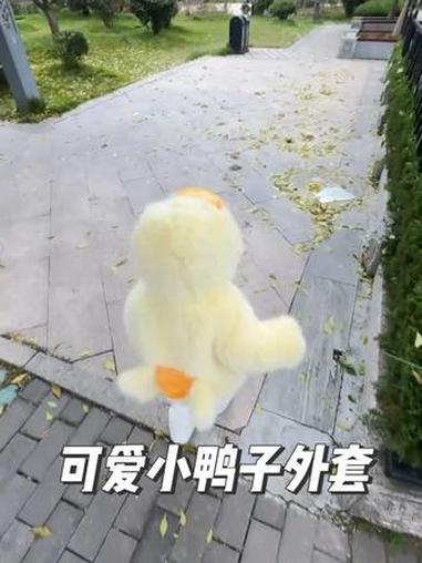 啊啊啊啊……小黄鸭也太萌了叭～敲可爱 小黄鸭 高品质童装 棉服外套 也太可爱了吧