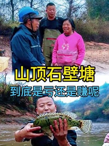 11000块包下一个山顶石壁塘看看到底是亏还是赚呢?新农人计划 小飞哥 户外抓鱼 金汤酸菜