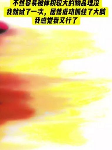 抓大鹅 抖音小游戏 学生党 游戏精彩 女生抓大鹅游戏