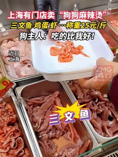 上海有门店卖“狗狗麻辣烫”三文鱼 鸡蛋 虾……称重25元/斤 狗主人:吃的比我好!ZMG风