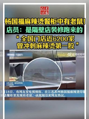 杨国福麻辣烫被曝餐柜中有老鼠!