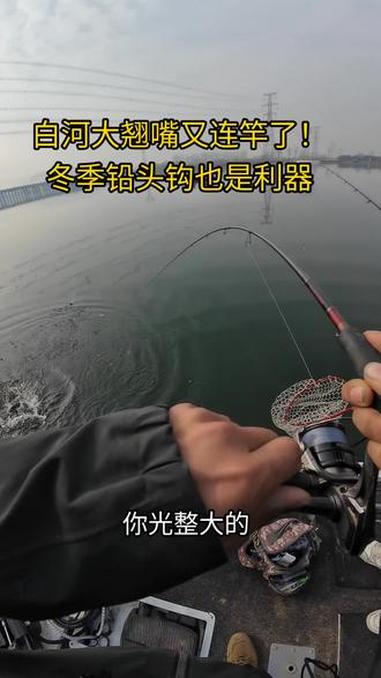 冬季路亚铅头钩钓低活性鱼比跳铁板靠谱多了，白河的大翘嘴连竿到手软#路亚#路亚翘嘴#路亚钓鱼