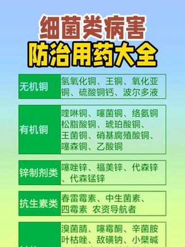 农业种植 根腐病防治 细菌性角斑病 软腐病 传播农业小知识 青枯病软腐病细菌性流胶病角斑病