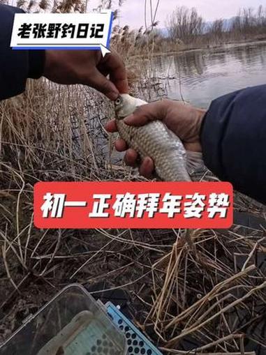 山东正确的拜年方式，鲫鱼不会问你挣多少钱……#野钓 #老鬼鱼饵 #野战一款拉 #老坛维它米