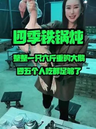 足足六斤重的大鹅 根本吃不完 天儿冷吃点啥 真材实料好味道 铁锅炖大鹅 味道棒棒哒 铁锅炖