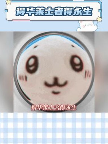 华莱士我这次就当没看到,下次可不许这样咯!华莱士 汉堡 大学生 娱乐巨咖站