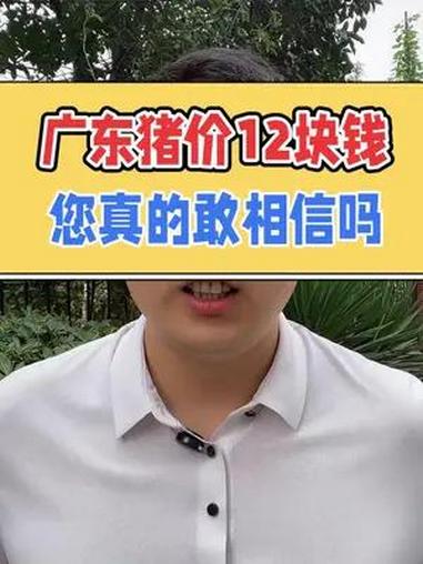 广东的猪价,都涨到12块钱了?您敢相信吗?养猪人不容易 猪价行情 自繁自养母猪