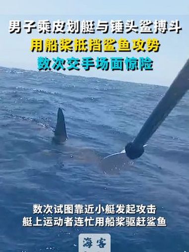 男子乘皮划艇与锤头鲨搏斗 用船桨抵挡鲨鱼攻势 数次交手场面惊险 鲨鱼 皮划艇