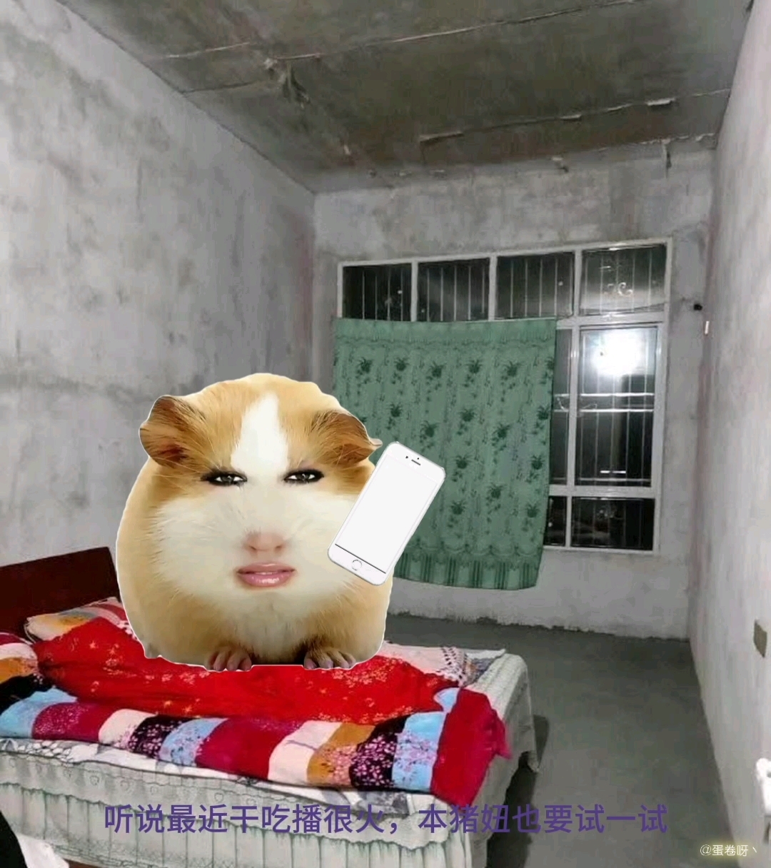 猪妞日常来啦!