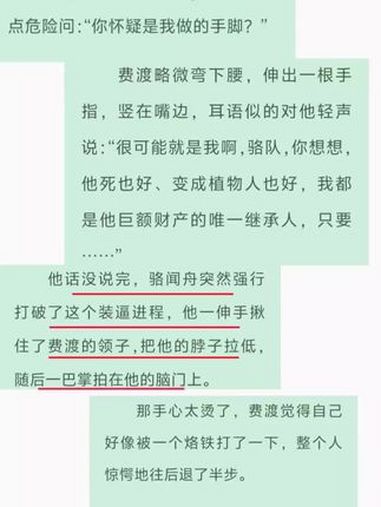整段垮掉 默读 费渡 骆闻舟