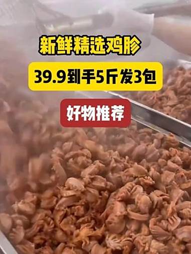 鸡胗 大号鸡胗 鸡胗怎么做好吃