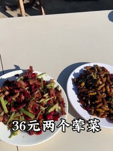 山东老铁鸭肚子是鸭子那个部位,36元两个荤菜,蝉蛹外加鸭肚,大集上的烟火气 人间烟火 一眼