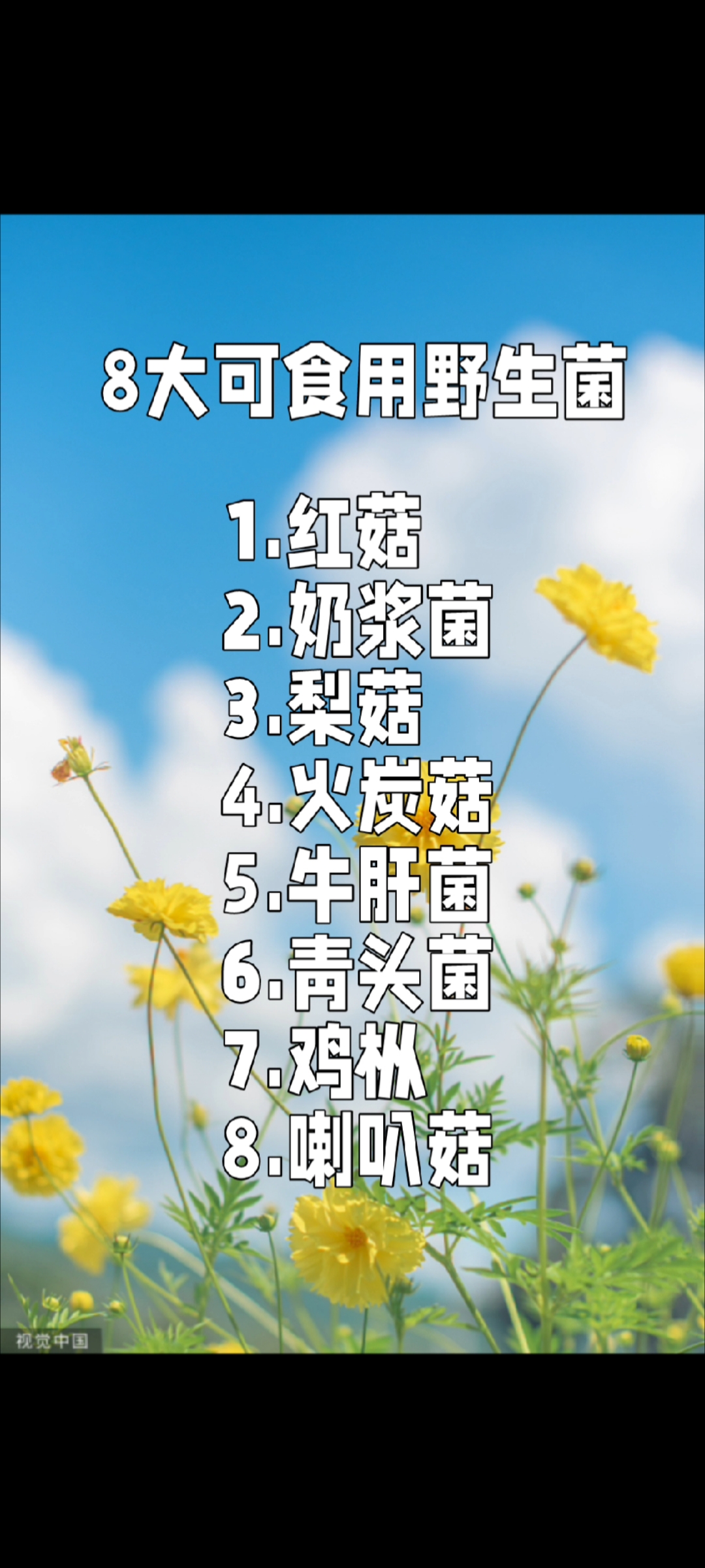 8大可食用野生菌