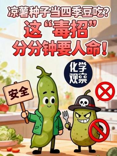 凉薯种子当四季豆吃？这“毒招”分分钟要人命！#凉薯 #凉薯种子 #化学