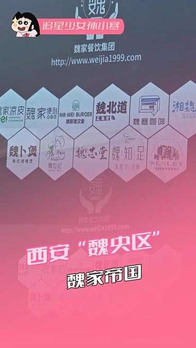 魏家国际 魏家帝国 魏家宇宙 感觉魏家老板已经沉浸在自己的艺术里无法自拔了 魏家凉皮