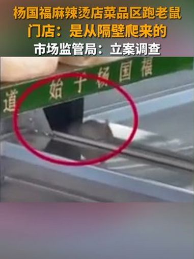 苏州杨国福麻辣烫一门店菜品区跑老鼠,门店:是从隔壁爬来的,市场监管局:立案调查。杨国福麻辣