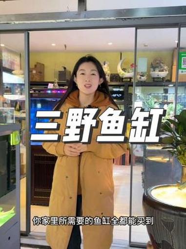 置办鱼缸、鱼缸造景、冷水鱼热带鱼,来市场北门三野鱼缸造景逛逛 鱼缸 鱼缸造景 市场 小义乌
