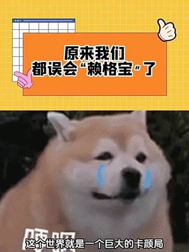 原来我们都误会“赖格宝”了 癞蛤蟆 神奇动物在抖音 万万没想到