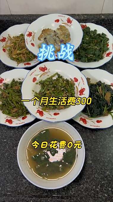 300元每月生活费,今日回村做饭花费0元,现摘现炒家常菜六菜一汤,超下饭,省钱又满足 家常