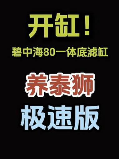碧中海 80一体底滤开缸养泰狮，极速版！泰狮金鱼 兰寿金鱼 底滤缸 爆哥配缸 水族毒舌爆哥