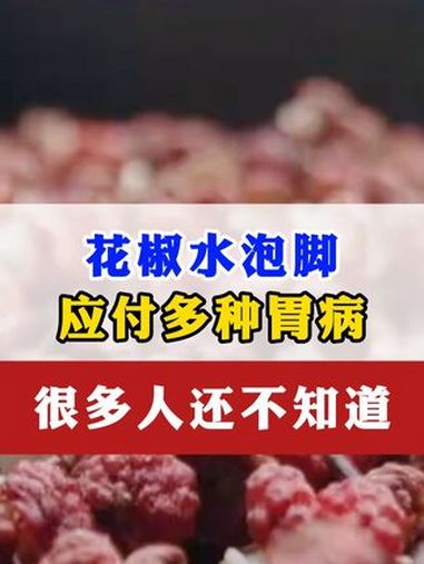 中医 脾胃