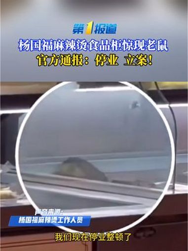 杨国福麻辣烫食品柜惊现老鼠,官方通报:停业!立案!