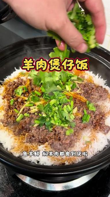 秋冬进补的季节 整翻一煲羊肉煲仔饭 热辣辣 暖粒粒 太香啦 家常菜 我的厨房日记 老广的味