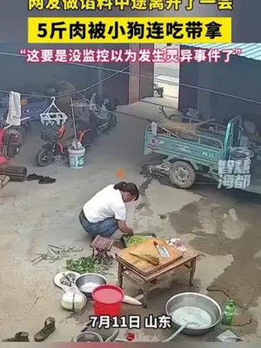 网友做馅料中途离开了一会,5斤肉被小狗连吃带拿……