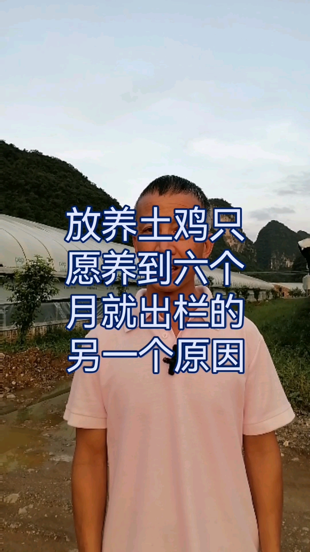 放养土鸡只愿养到六个月就出栏的另一个原因