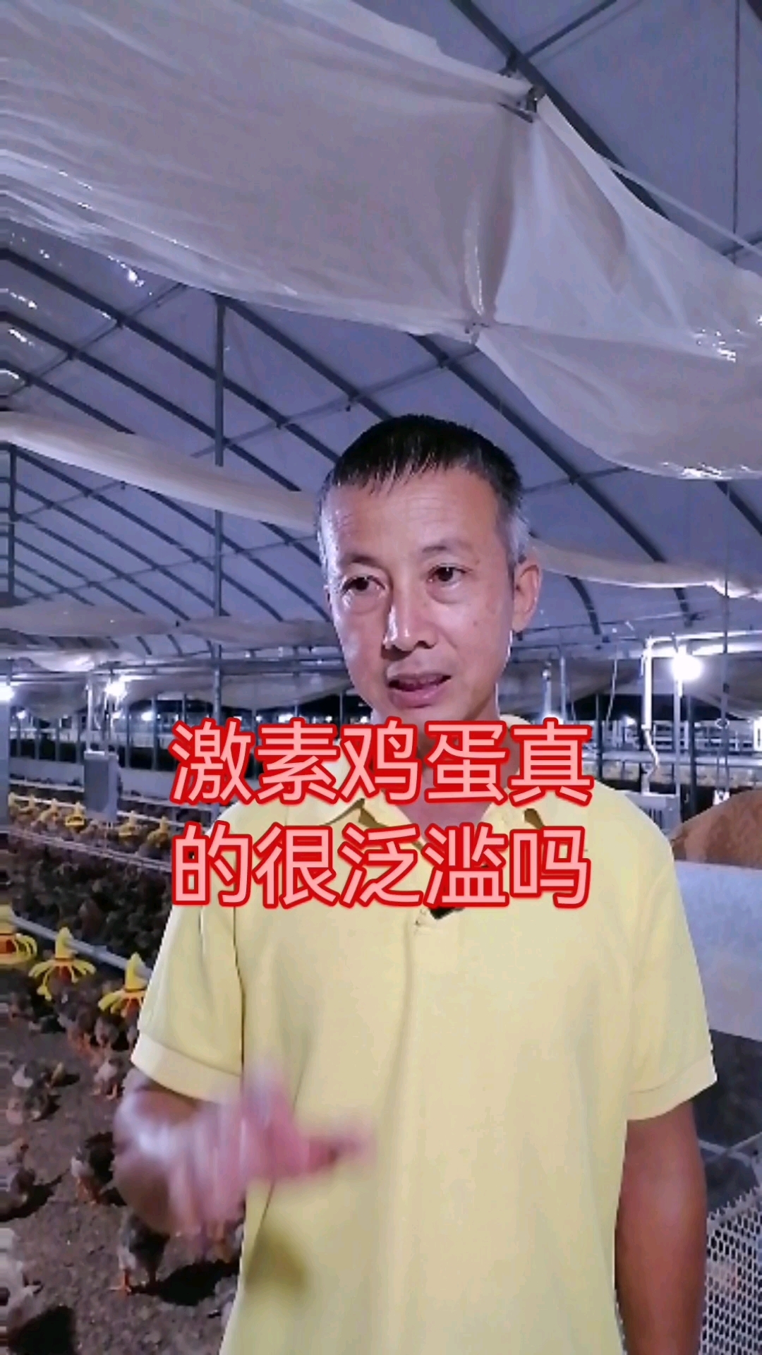 激素鸡蛋真的很泛滥吗