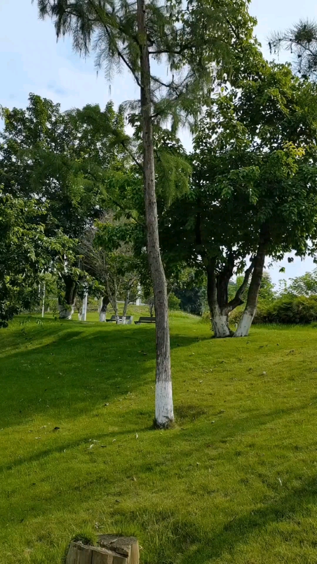 成都市龙泉驿区天鹅湖百悦公园