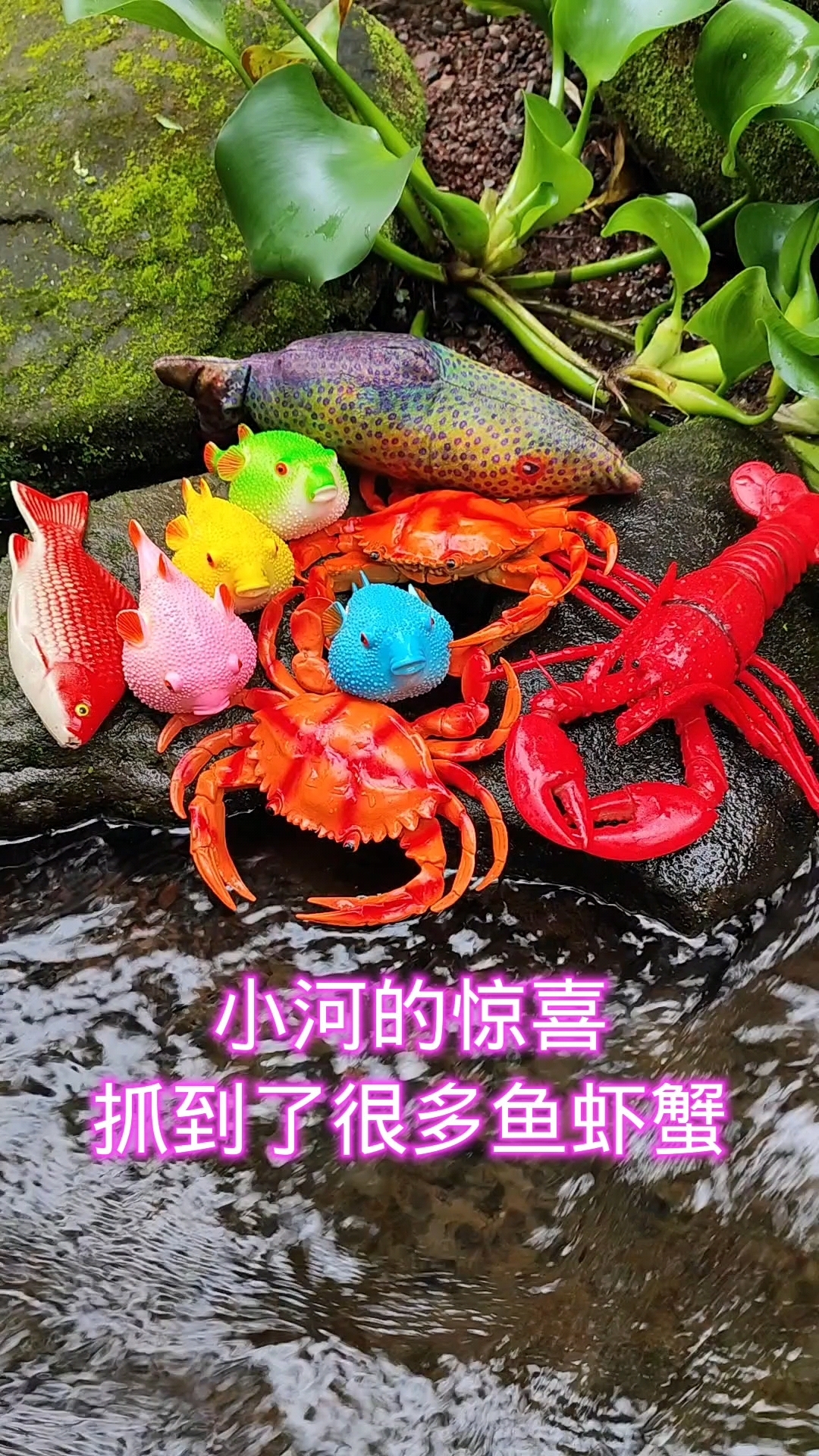 小河的惊喜,抓到了很多鱼虾蟹