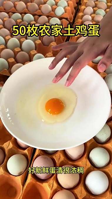散养土鸡蛋 土鸡蛋 鸡蛋 新鲜土鸡蛋