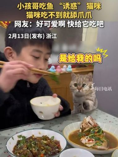 小孩哥吃鱼 “诱惑” 猫咪,猫咪吃不到就舔爪爪,网友:好可爱啊 快给它吃吧 每日趣闻