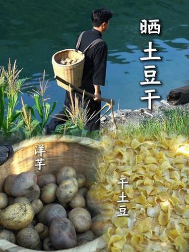 夏天正是晒瓜果蔬菜的时候,今天从地里挖了些土豆晒成干,既方便保存又好吃 新农人计划2025
