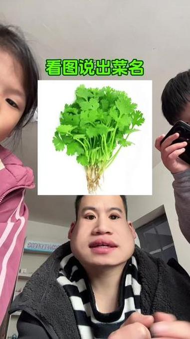 看图说菜名
