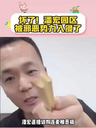 潘宏遇到劲敌,狄瑞吉入侵潘宏园区 潘宏闯进训猪赛道 潘宏给毒师图图改名 潘宏